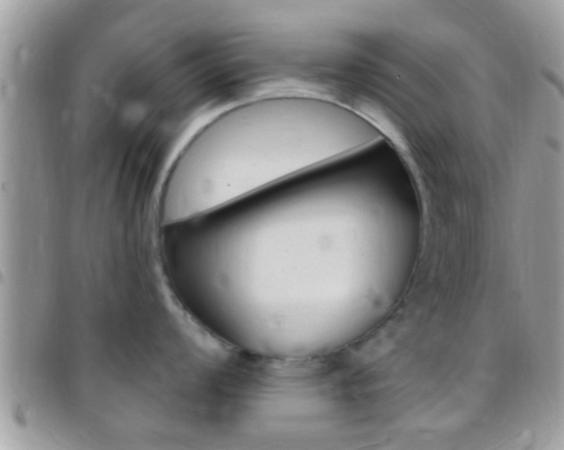 X0000096151008200801180825