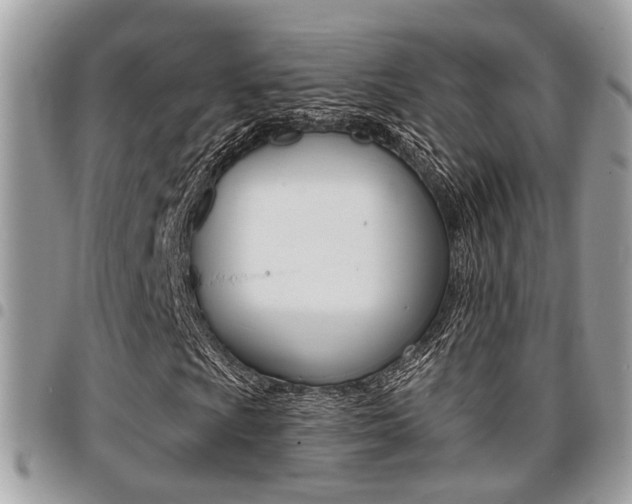 X0000096151009200801180824