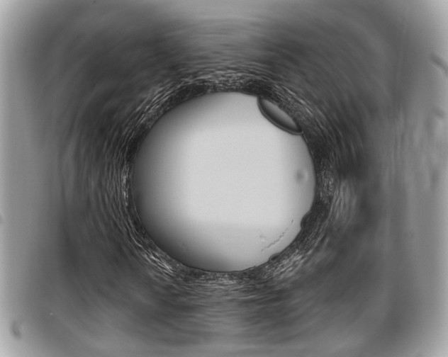 X0000096151010200801180824