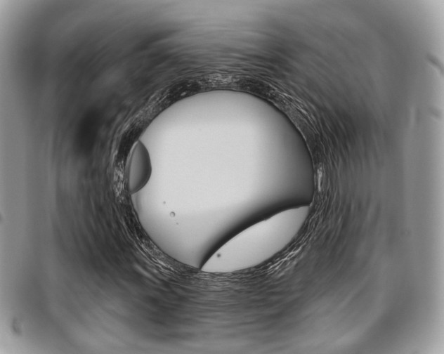 X0000096151011200801180824