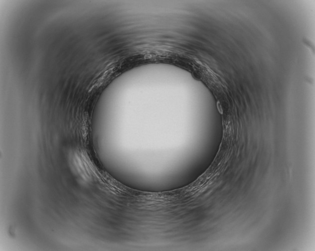 X0000096151012200801180824