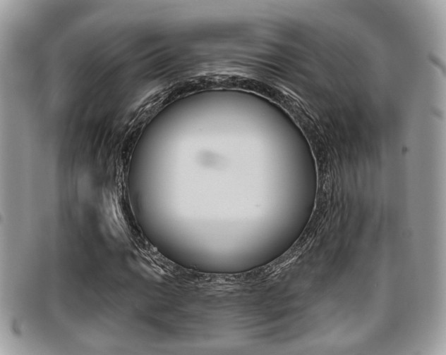 X0000096151014200801180824