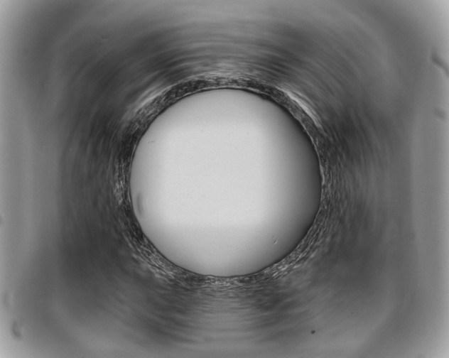 X0000096151015200801180824