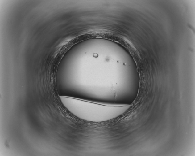 X0000096151016200801180824