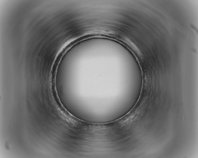 X0000096151020200801180824
