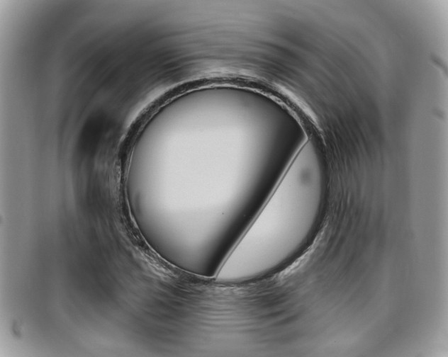 X0000096151021200801180824