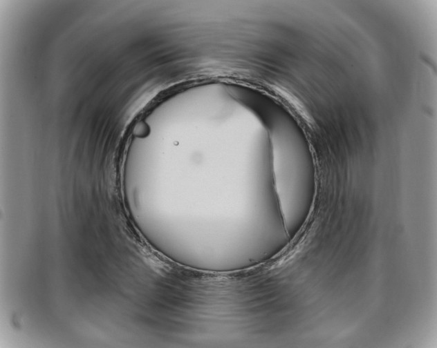 X0000096151023200801180824