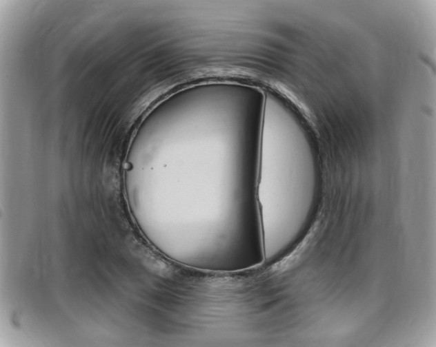 X0000096151025200801180824