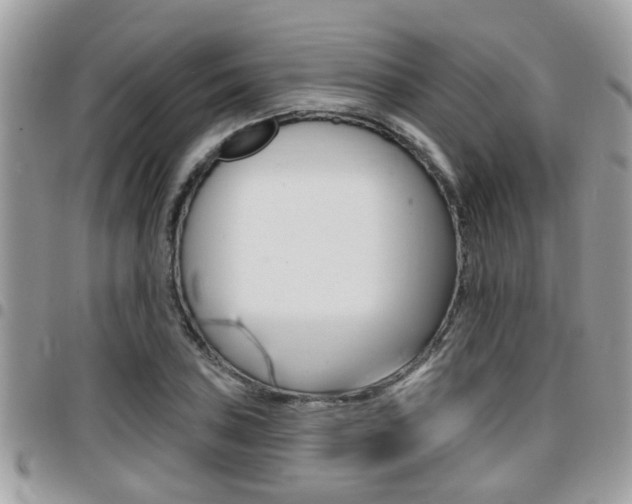 X0000096151027200801180824