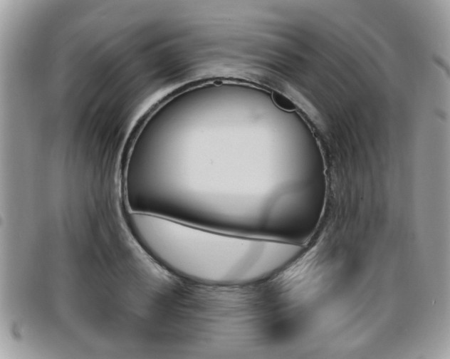 X0000096151028200801180825