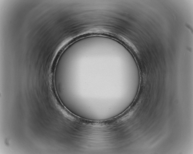 X0000096151029200801180825