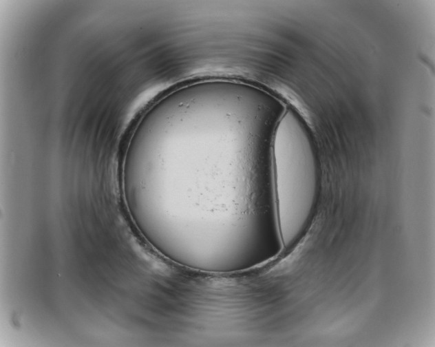 X0000096151030200801180825