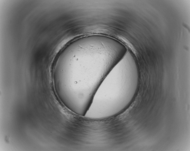 X0000096151031200801180825