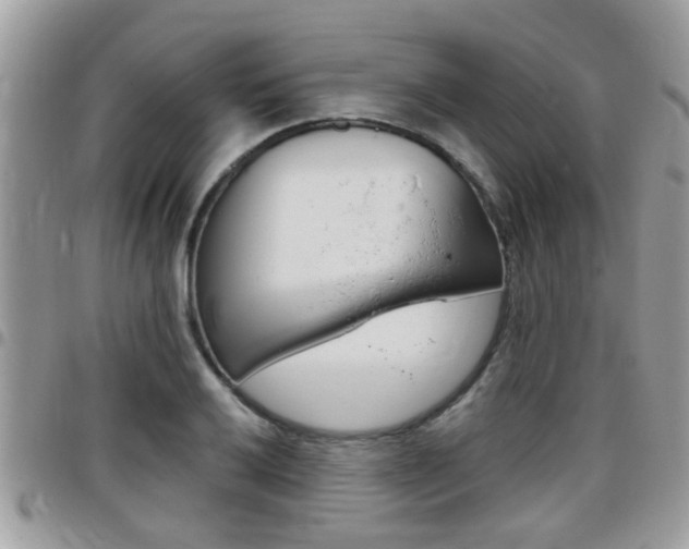 X0000096151032200801180825