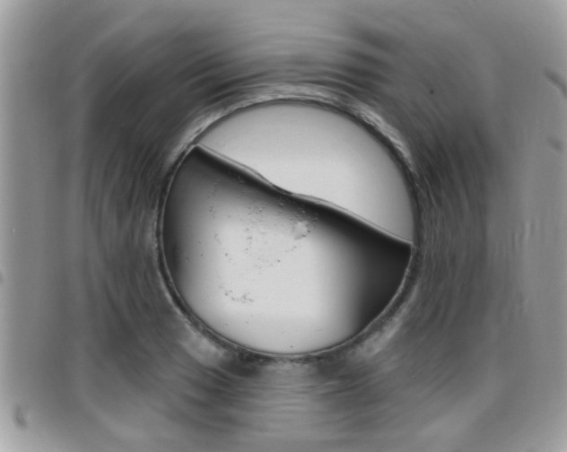 X0000096151033200801180825