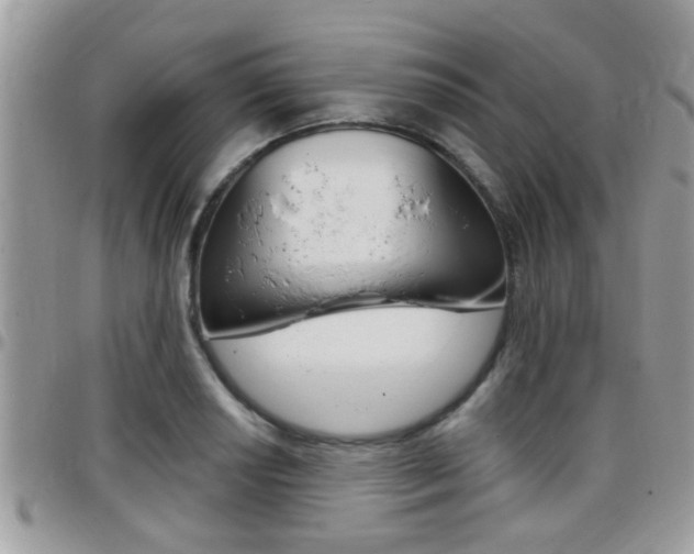 X0000096151034200801180825