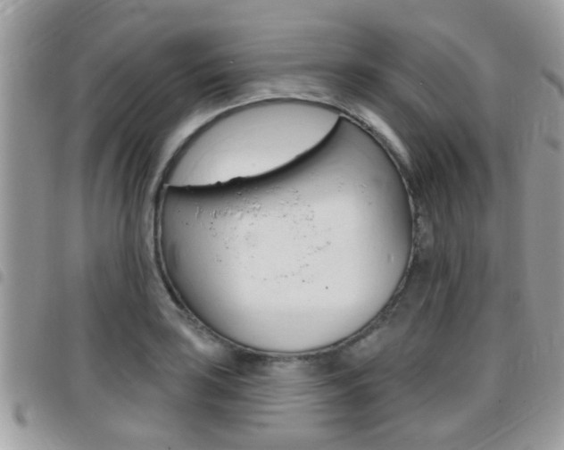 X0000096151035200801180825