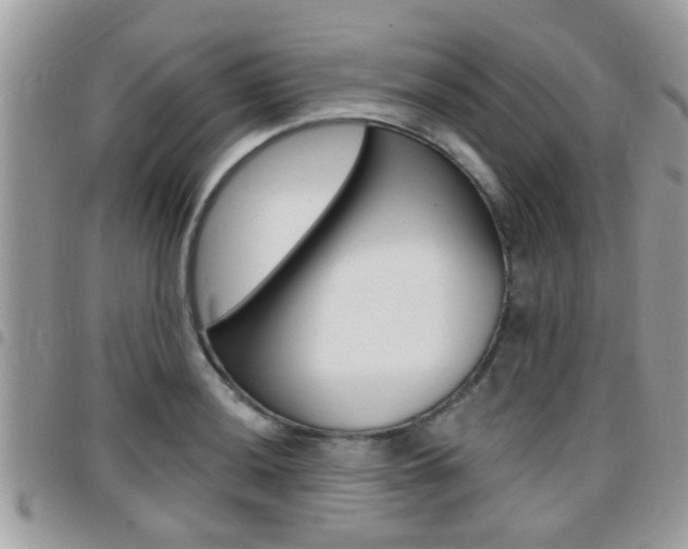 X0000096151036200801180825