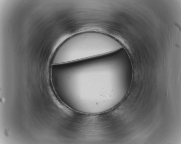 X0000096151038200801180825