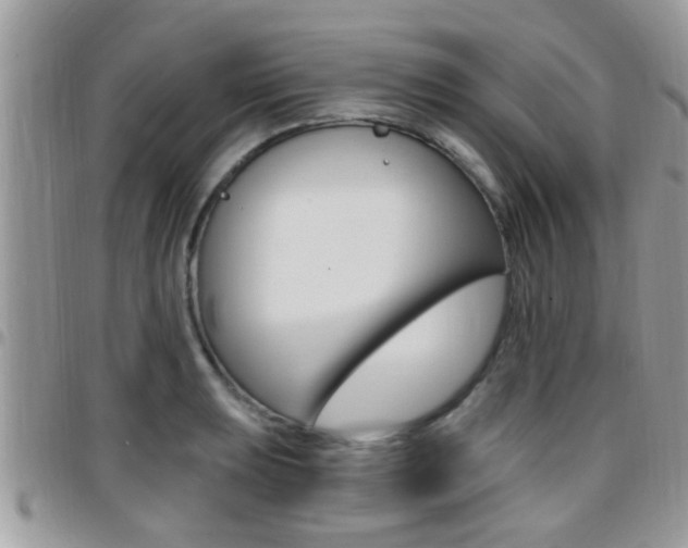 X0000096151039200801180825
