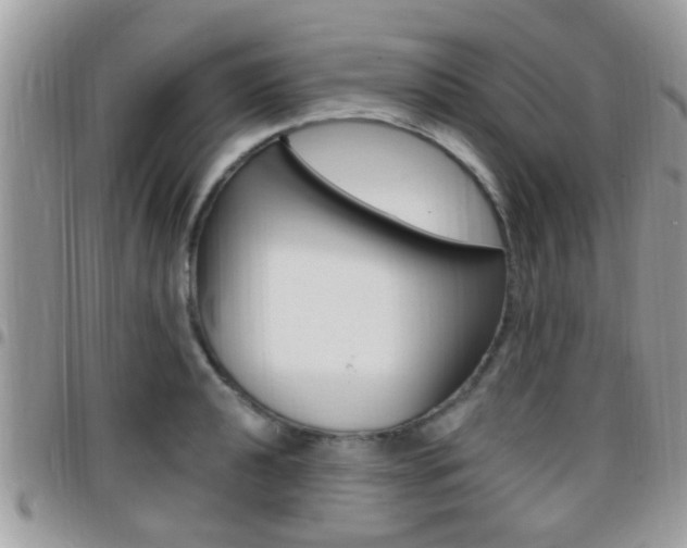 X0000096151040200801180825