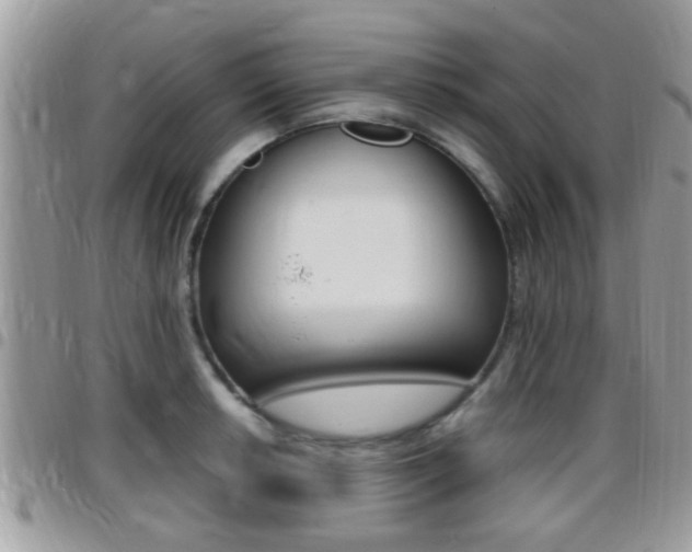 X0000096151042200801180825