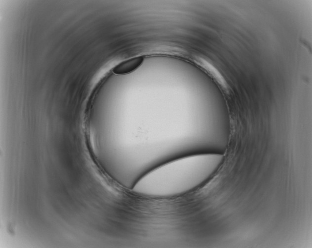 X0000096151043200801180825