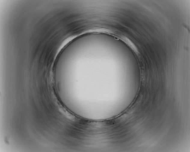 X0000096151044200801180825