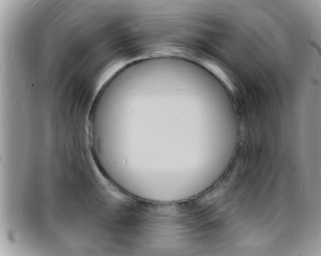 X0000096151047200801180825