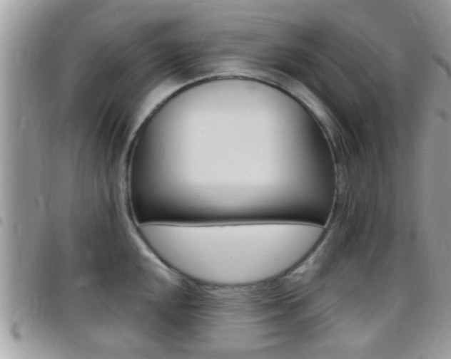 X0000096151048200801180825