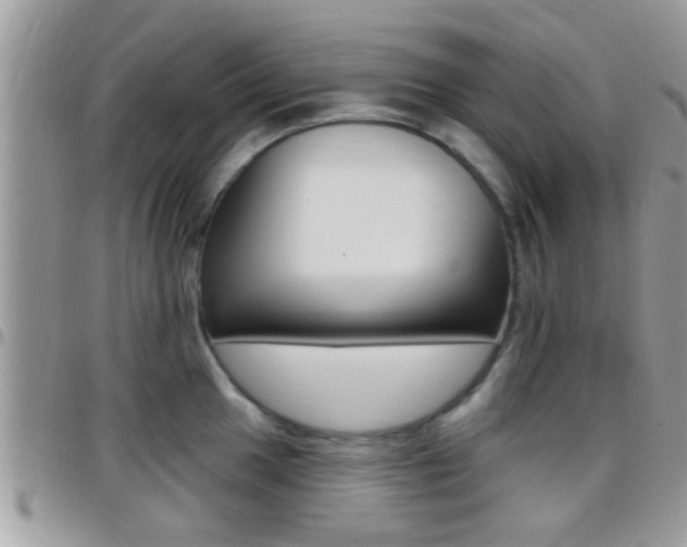 X0000096151049200801180825