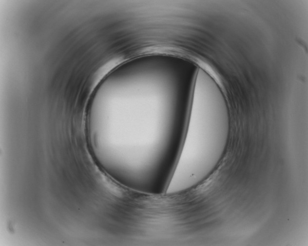 X0000096151050200801180825