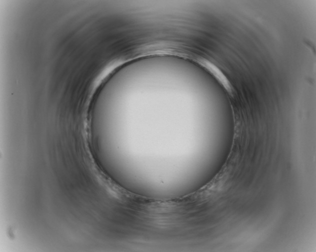 X0000096151051200801180825
