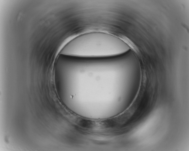 X0000096151052200801180825