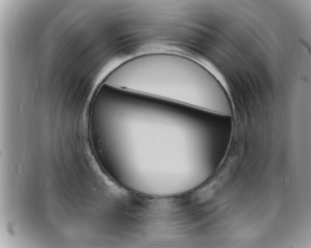 X0000096151053200801180825