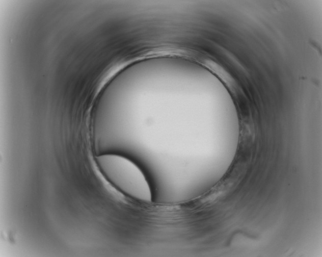 X0000096151055200801180825