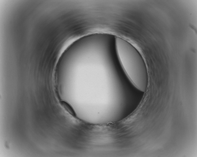 X0000096151056200801180825