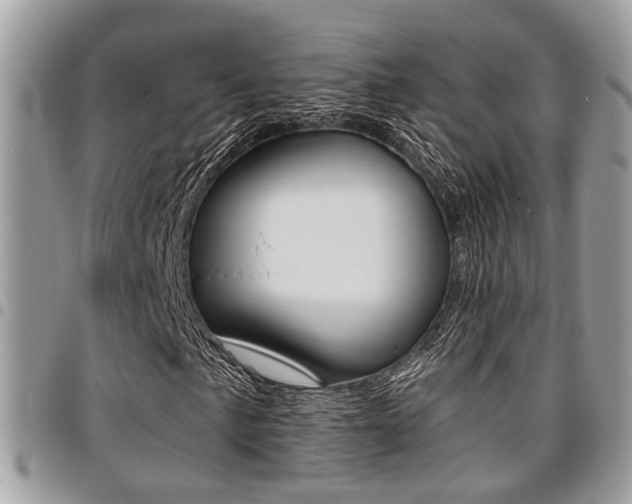 X0000096151057200801180824