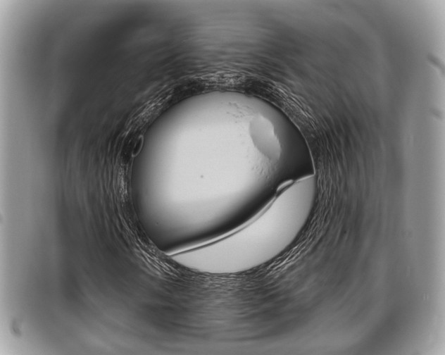 X0000096151058200801180824