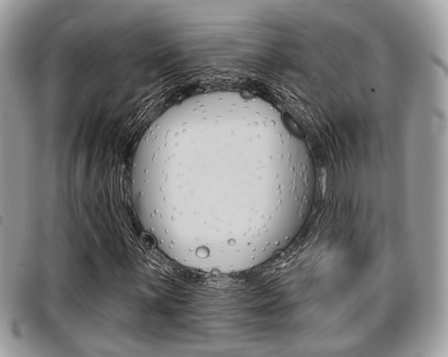 X0000096151059200801180824