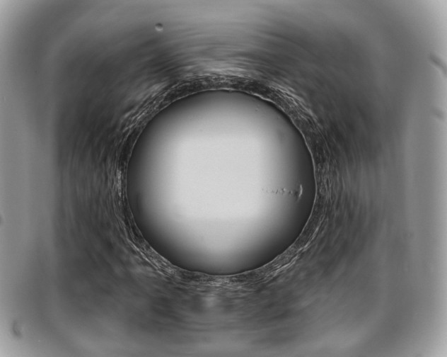 X0000096151061200801180824