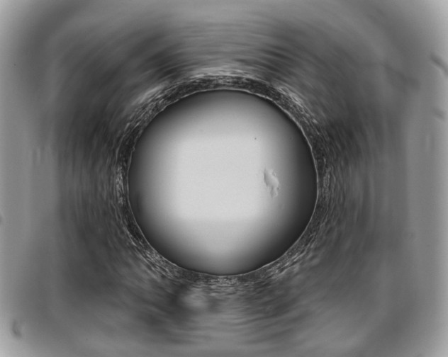 X0000096151062200801180824