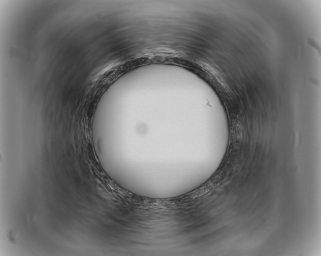 X0000096151063200801180824