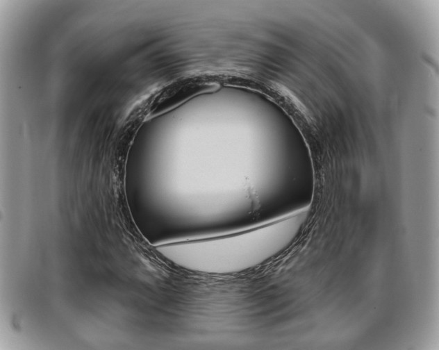 X0000096151064200801180824