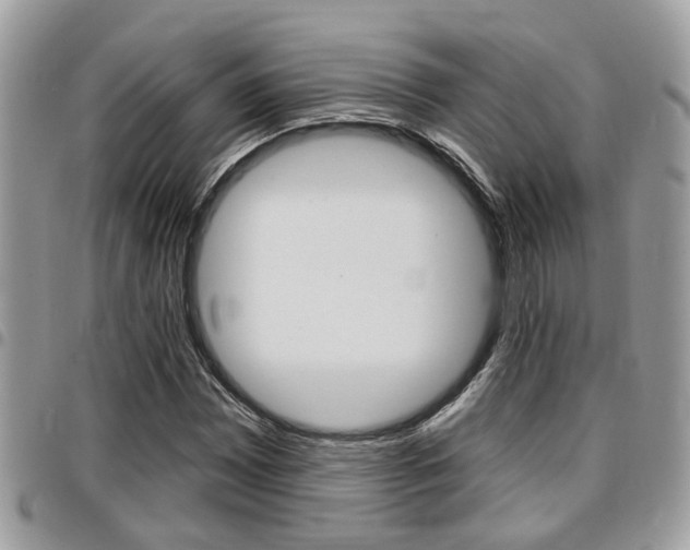 X0000096151065200801180824