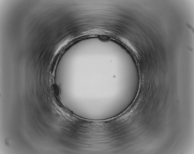 X0000096151067200801180824