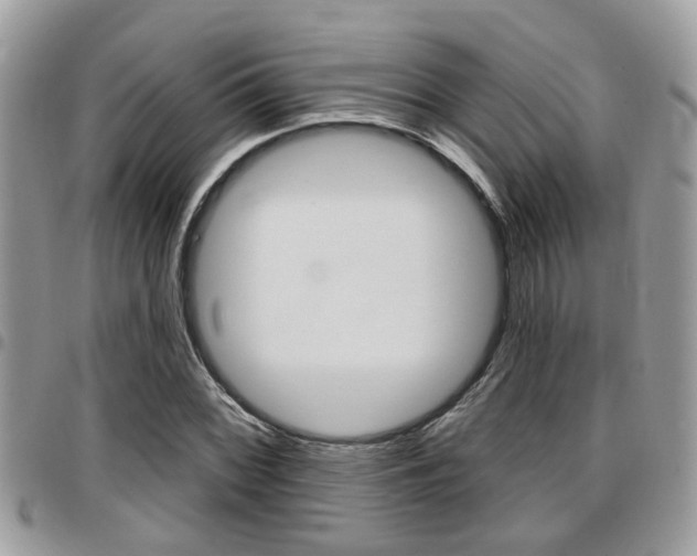 X0000096151068200801180824
