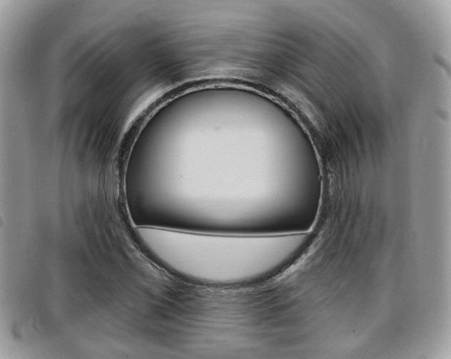 X0000096151069200801180824