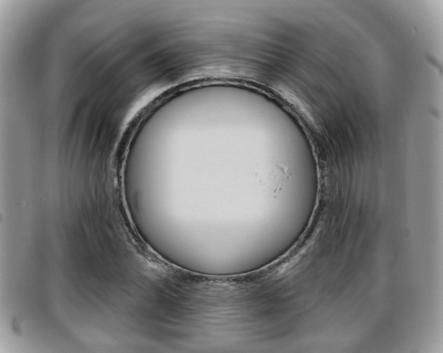 X0000096151070200801180824