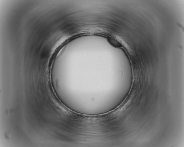 X0000096151071200801180824